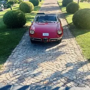 1967 Alfa Romeo 1750 Spider Boat Tail