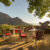 Winelands Experience